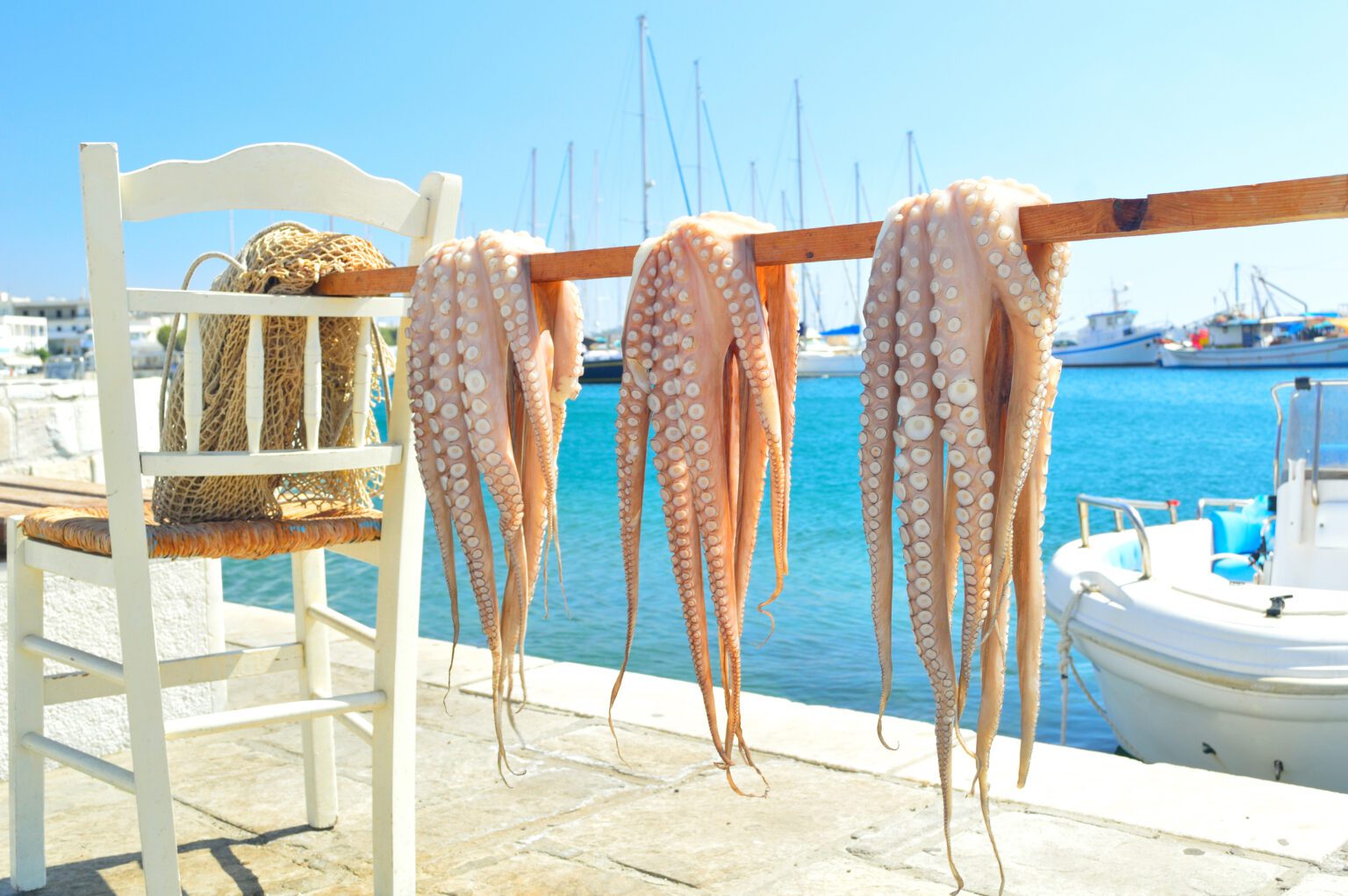 Traditional Greek Sea Food