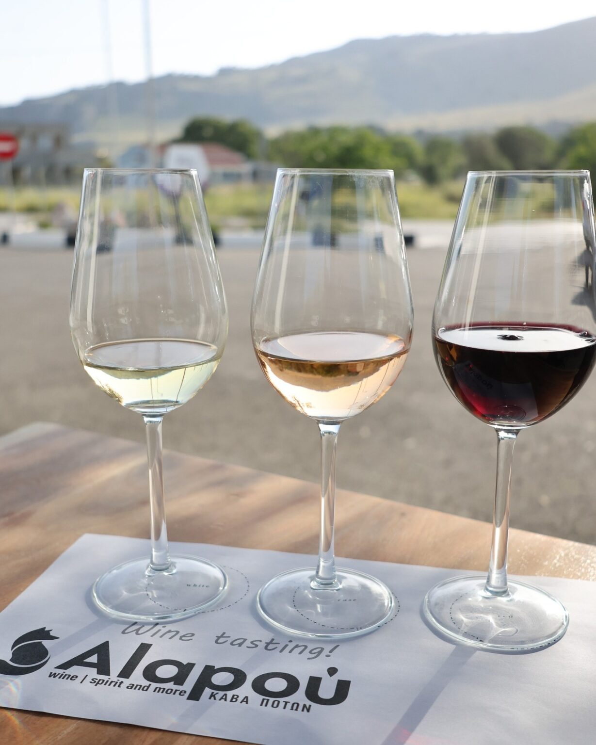 Wine Tasting in Rhodes
