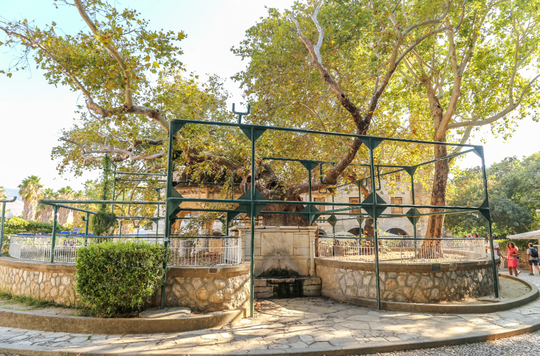 Tree of Hippocrates Kos – No.1 Legendary Ancient Landmark