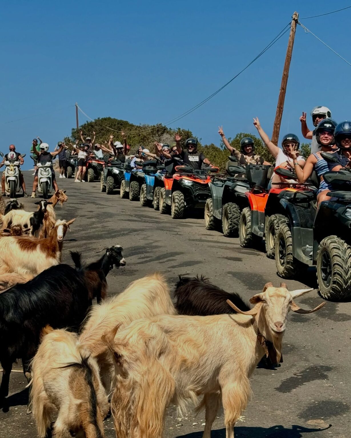 Ela Quad Safari Heraklion