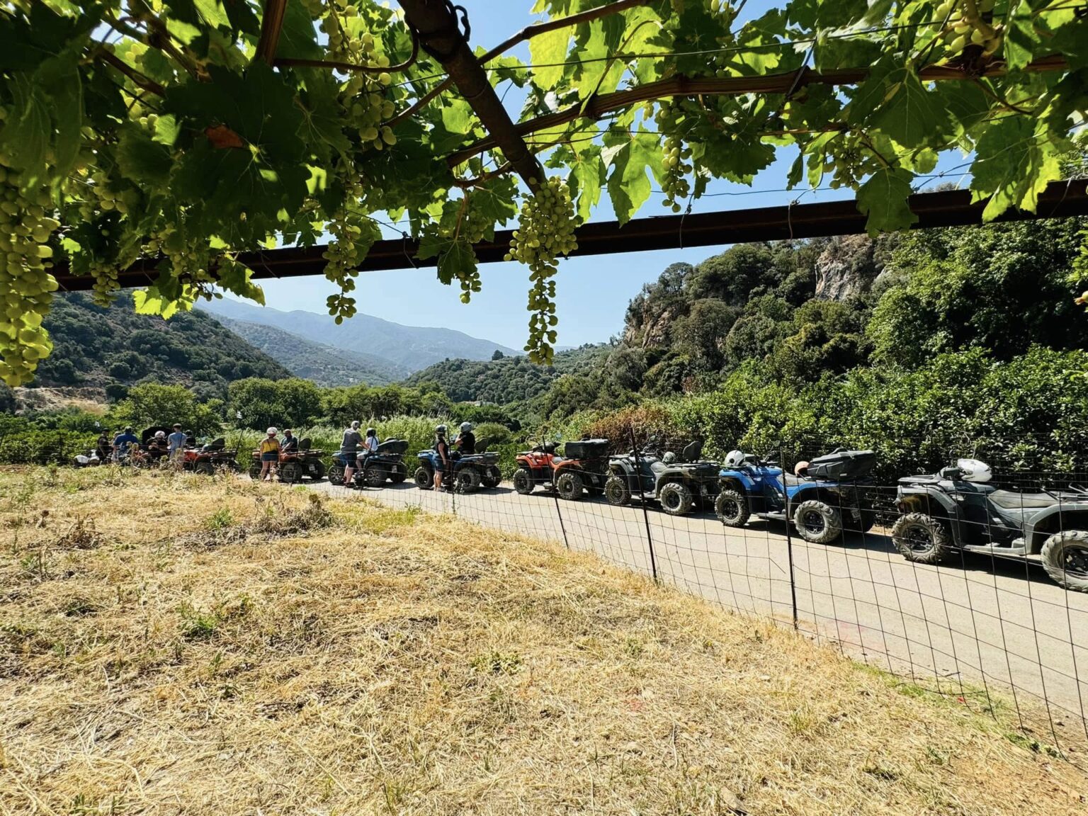 Ela Quad Safari Heraklion